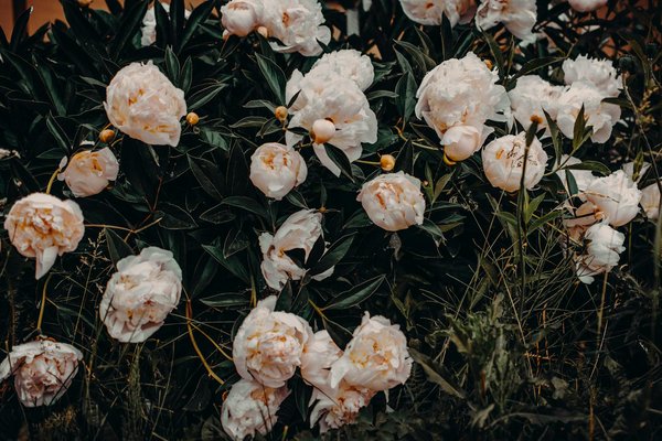 Wat zijn de beste manieren om meubels te beschermen tijdens een verhuizing?